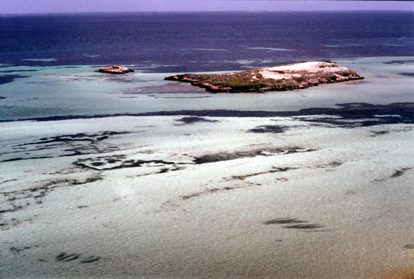 11-08-2000 eagle bluff fish schools.jpg