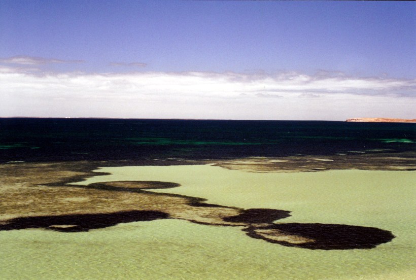 11-08-2000 eagle bluff view.jpg