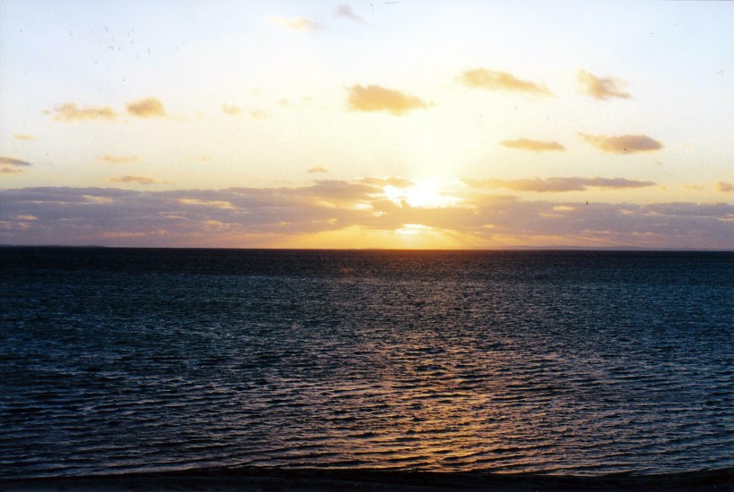 11-08-2000 from denham.jpg