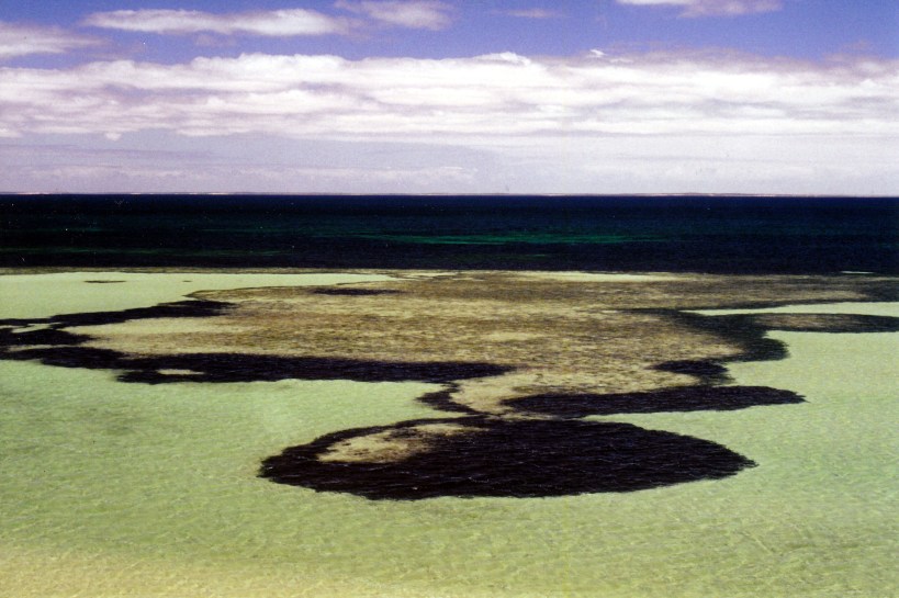 11-08-2000 sea & sky Eagle Bluff.jpg