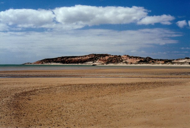 11-08-2000 shark bay wh area.jpg