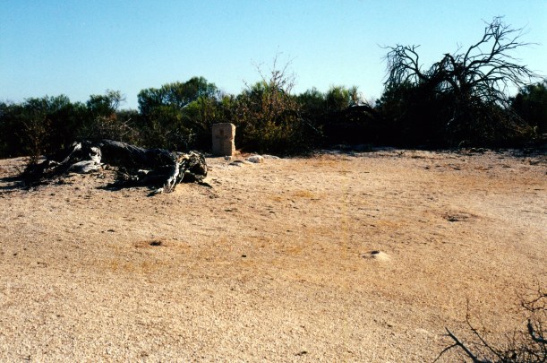 11-09-2000 05 grave Hamelin Pool.jpg