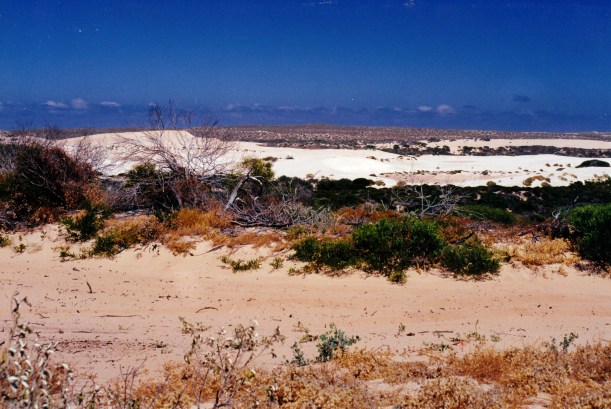 11-10-2000 04 track & dunes