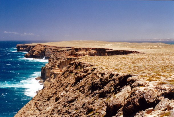 11-10-2000 08 steep point