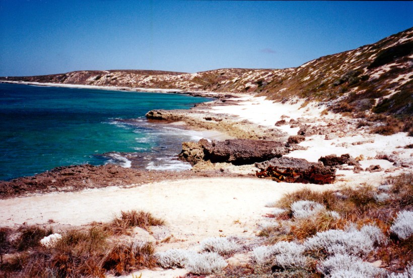 11-10-2000 17 wreck 4wd.jpg