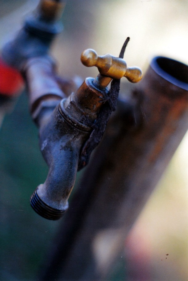 11-11-2000 hamelin - drink.jpg