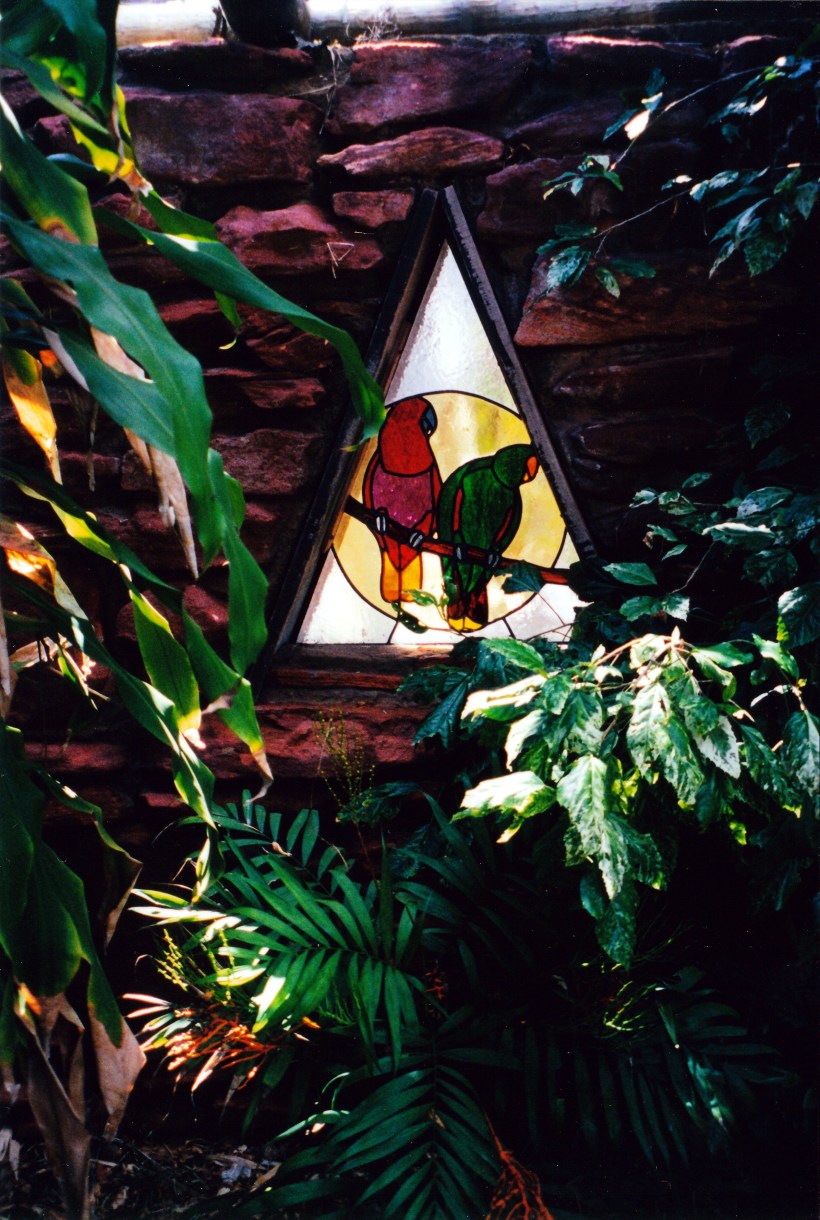 11-13-2000 rainbow jungle window.jpg