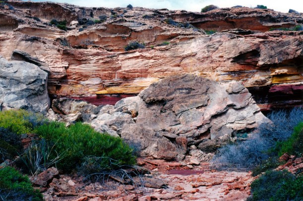 11-15-2000 Pot Alley.jpg