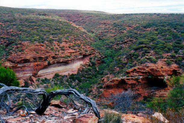 11-16-2000 10 gorge walk tk