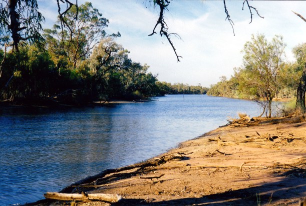 09-24-2001 paroo river by our currawinya camp.jpg