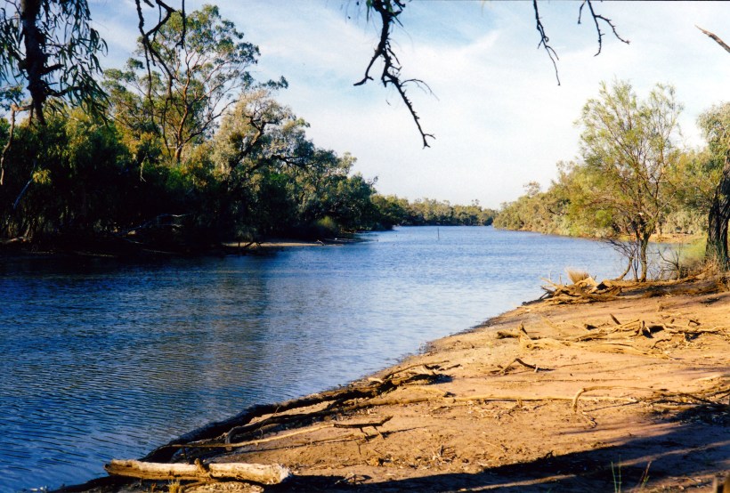 09-24-2001 paroo river by our currawinya camp.jpg
