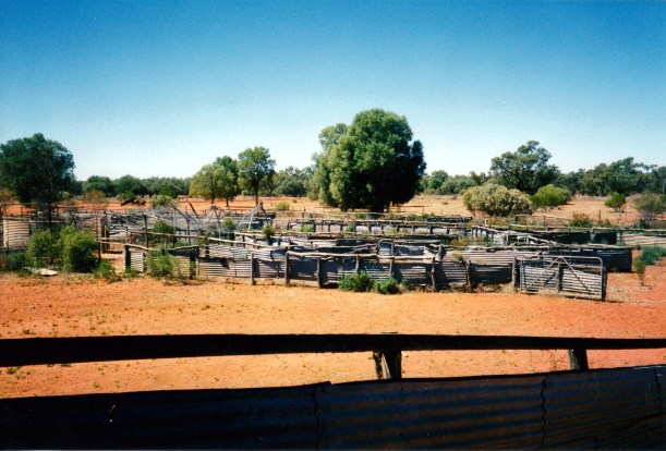 09-25-2001 currawinya shearing shed yards