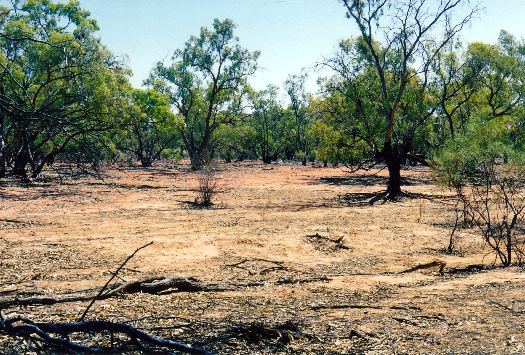 09-26-2001 flood plain by Paroo.jpg