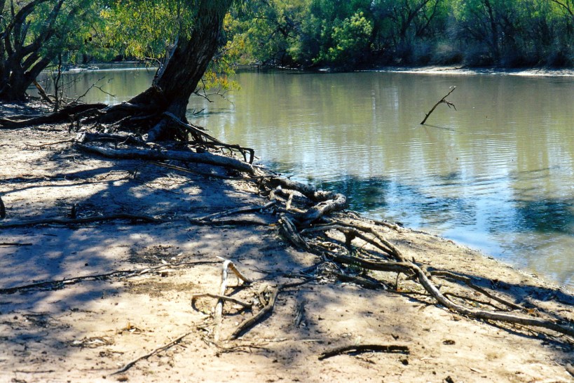 09-26-2001 roots.jpg