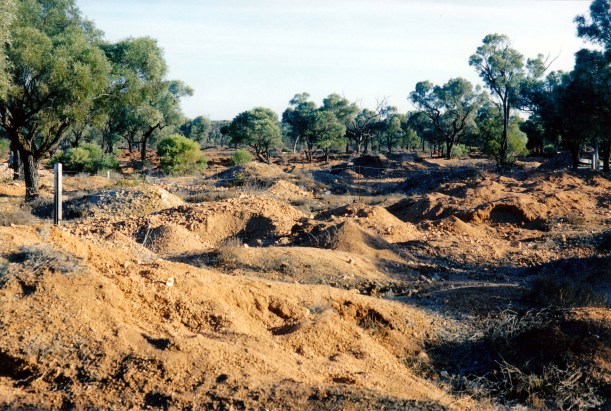 09-28-2001 yowah diggings.jpg
