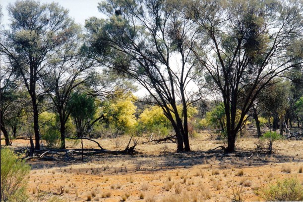 09-30-2001 duck creek spring.jpg