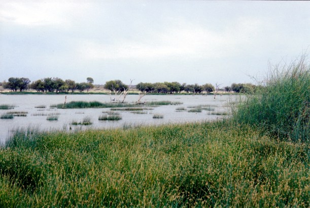 10-01-2001 lake bindegolly np.jpg
