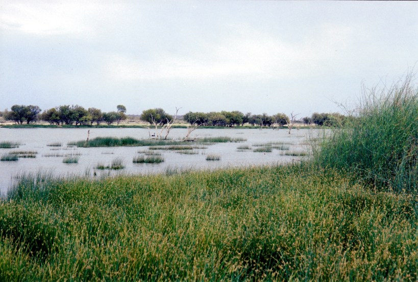 10-01-2001 lake bindegolly np.jpg