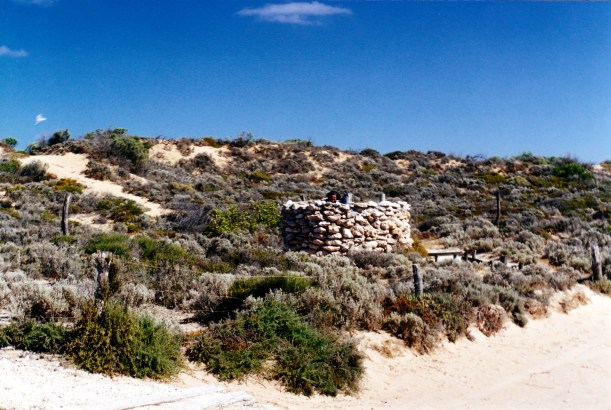 12-01-2000 04 cactus loo.jpg