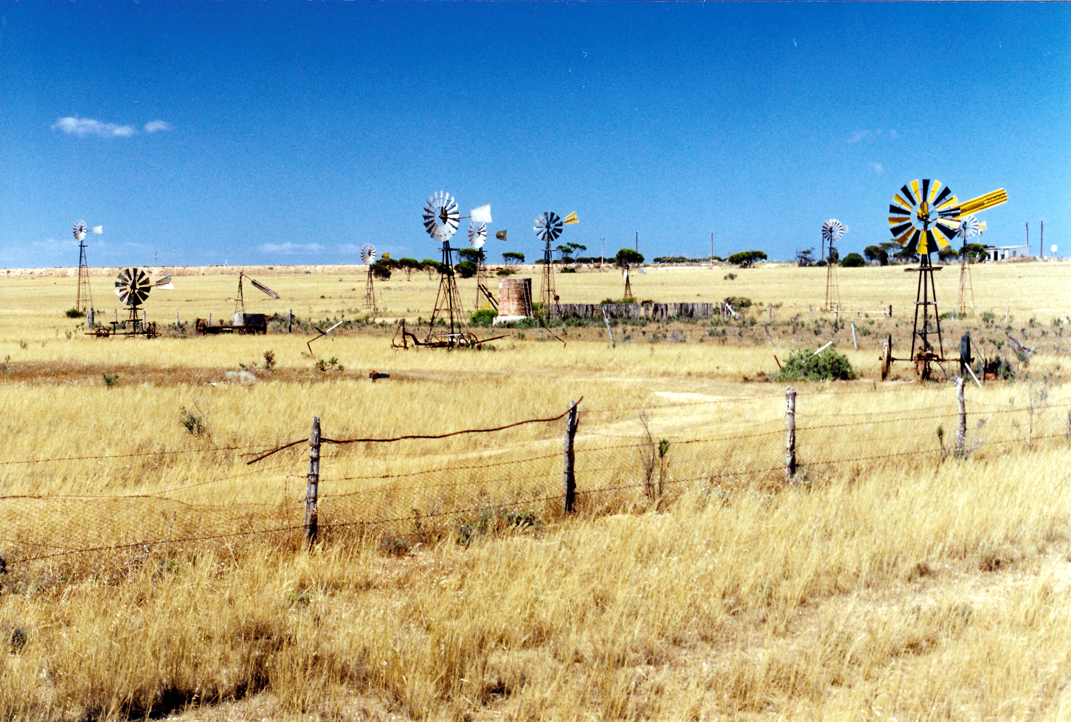 12-01-2000 07 penong surrealism.jpg