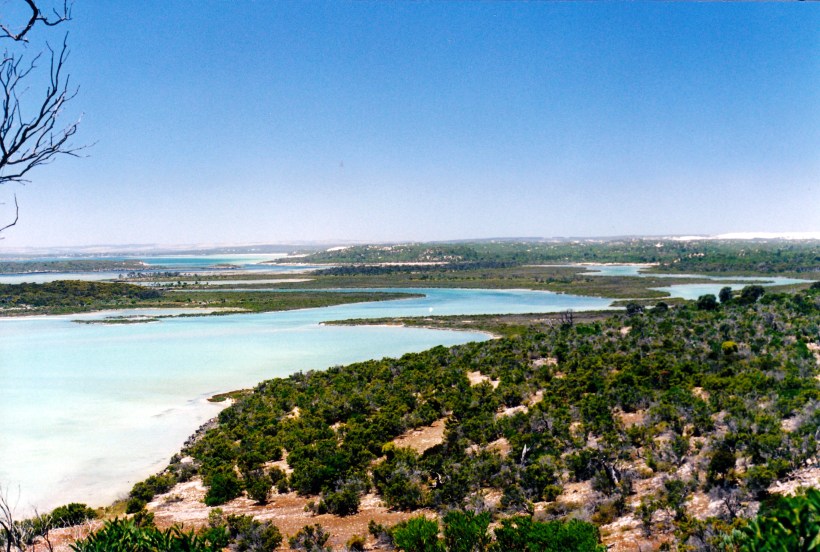 12-03-2000 03 coffin bay from lo.jpg