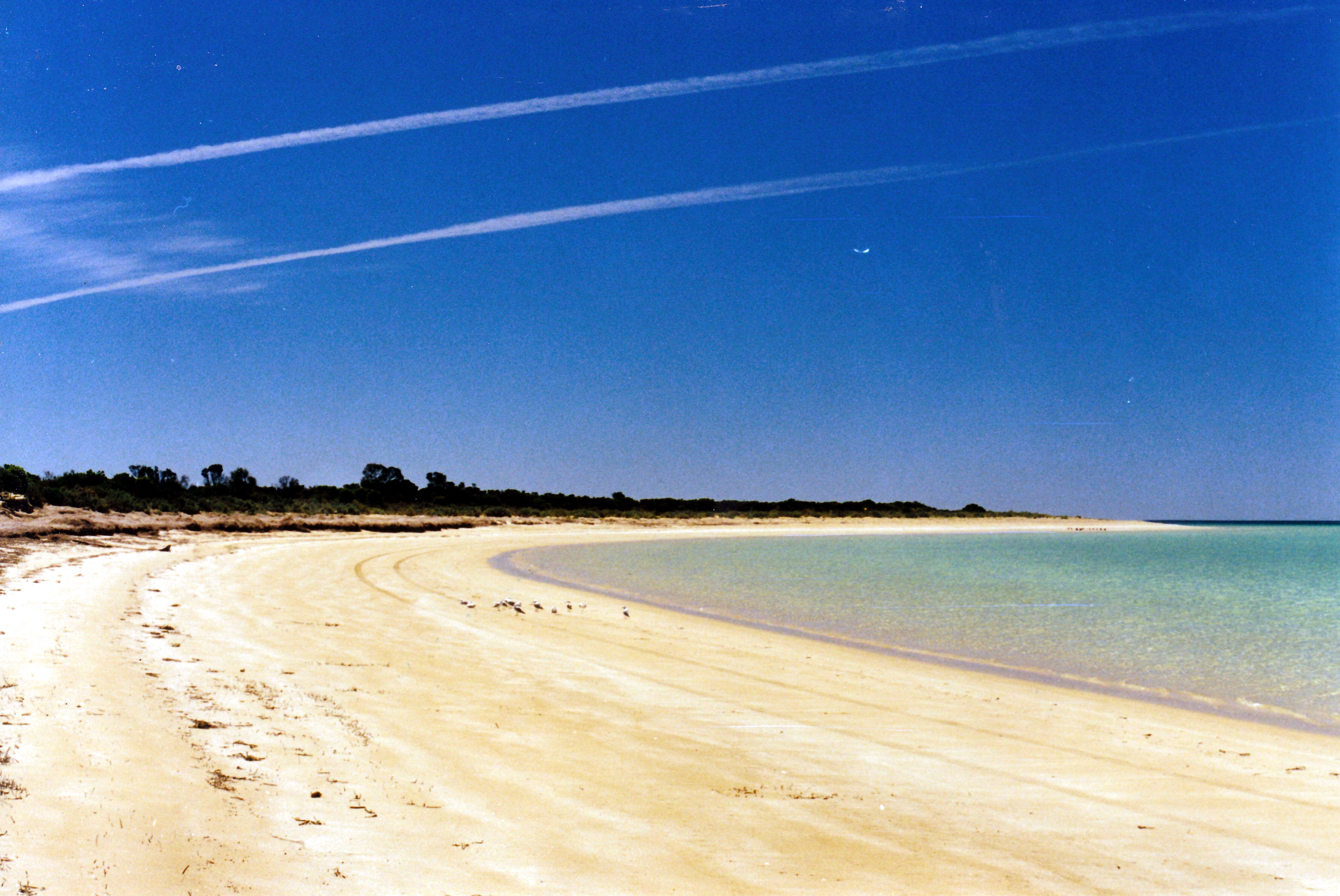 12-04-2000 04 Seven Mile Beach.jpg