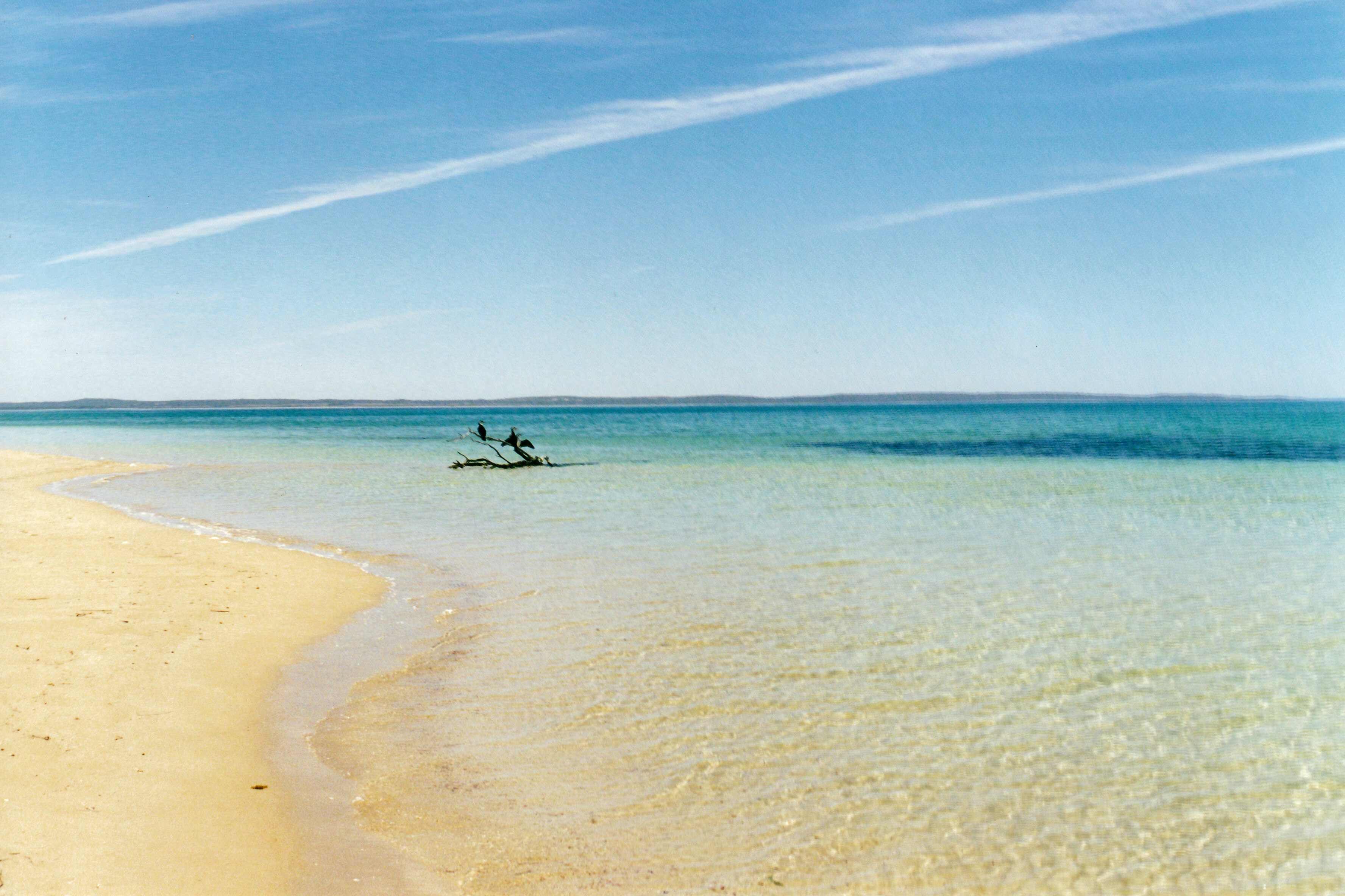 12-04-2000 05 Seven Mile beach Coffin Bay NP.jpg
