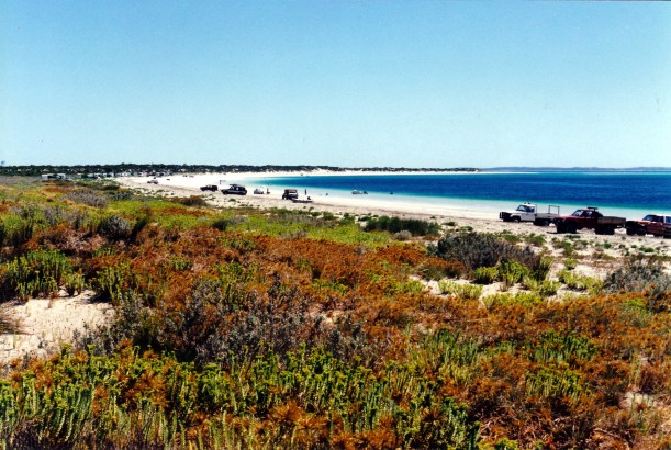 12-09-2000 05 Farm Beach.jpg