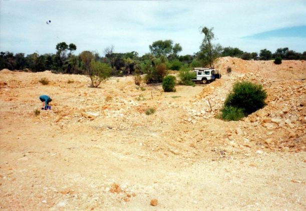04-14-2002 leoprdwood dig.jpg