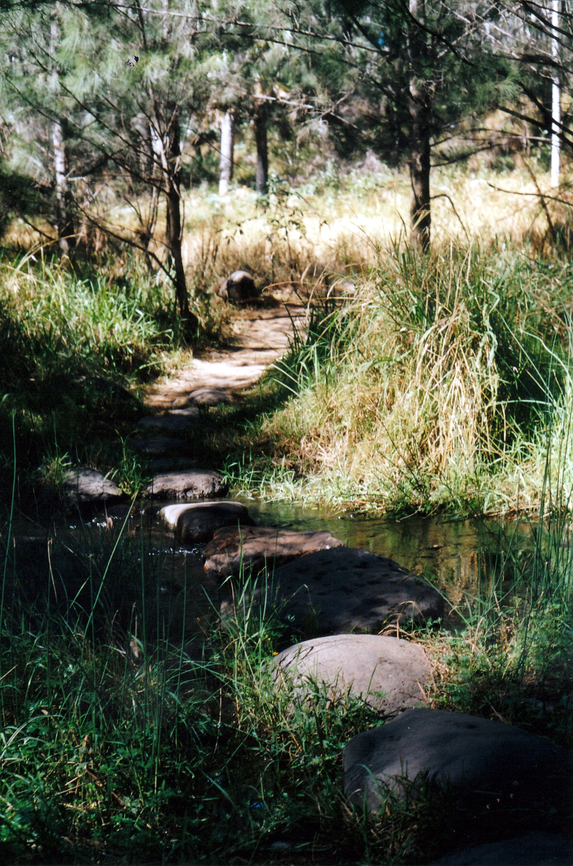 04-30-2002 crossing on stones.jpg