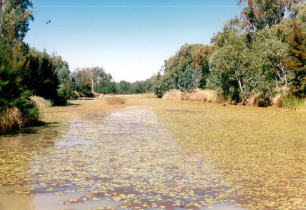 05-11-2002 maranoa at mitchell.jpg