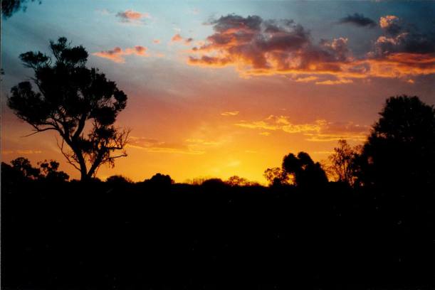 Resize of 04-12-2002 leopardwood sunset