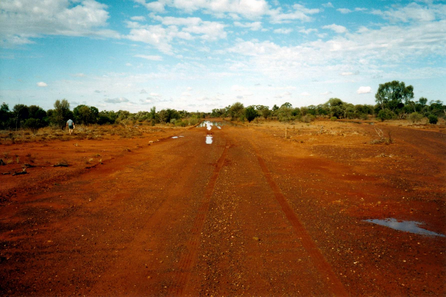 Resize of 04-16-2002 leopardwood road.jpg