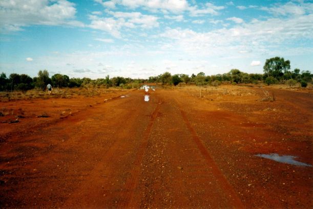 Resize of 04-16-2002 leopardwood road.jpg