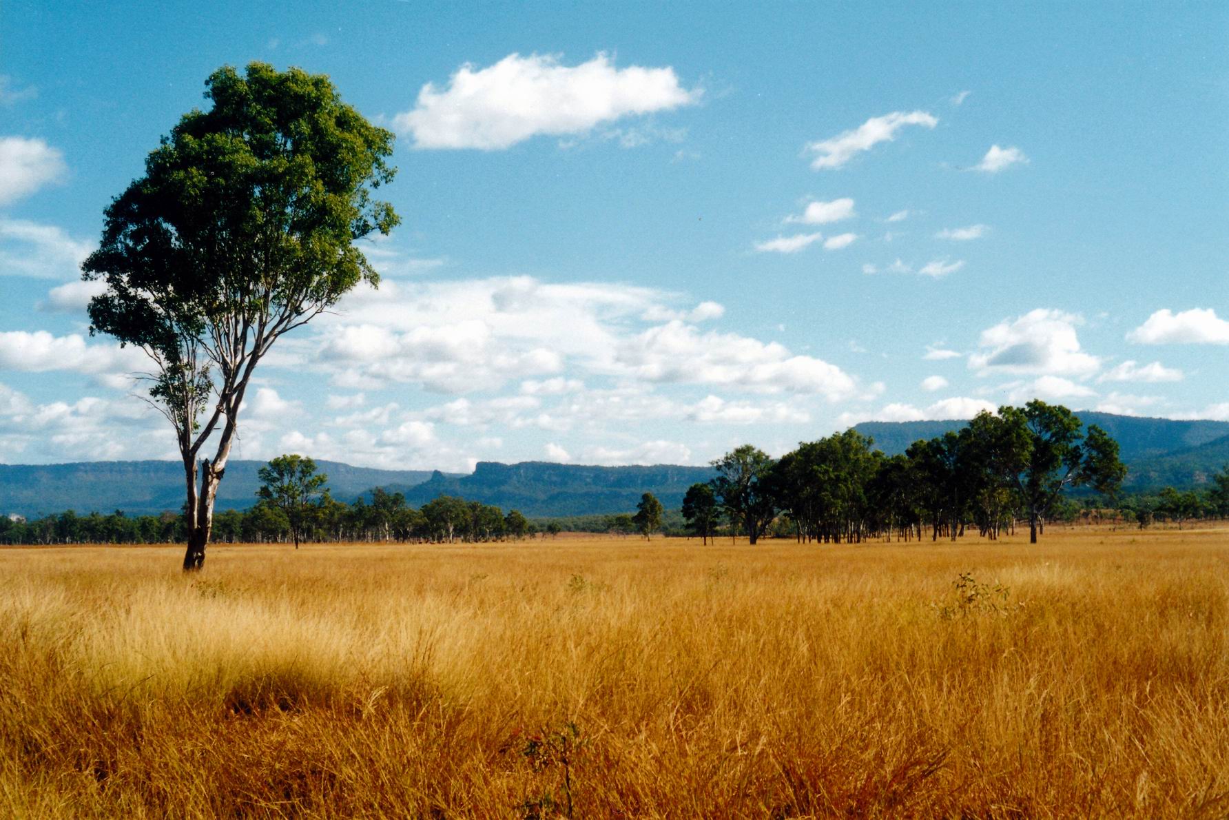 Resize of 04-29-2002 01 approach to cnp.jpg