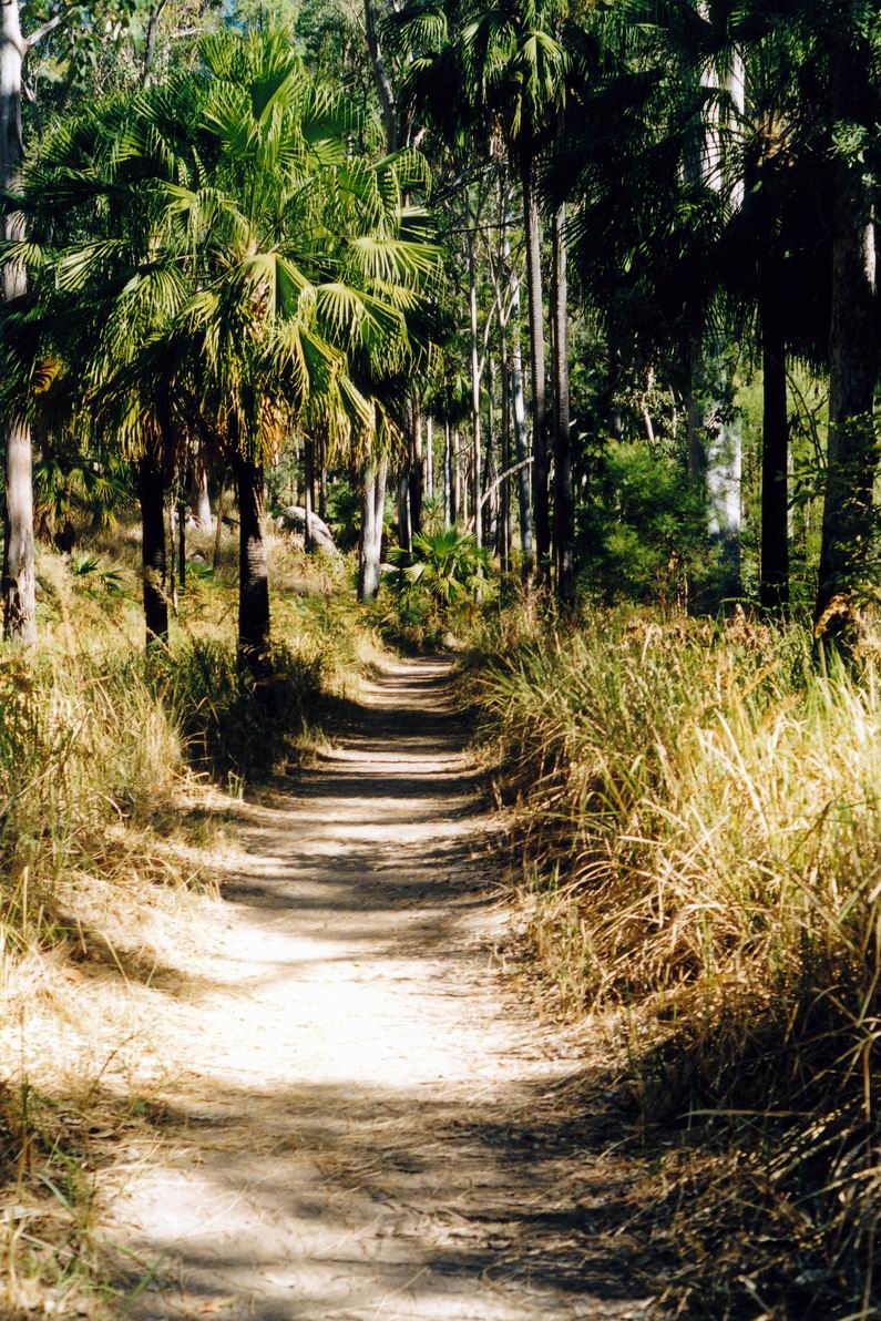 Resize of 04-30-2002 01 walk tk.jpg