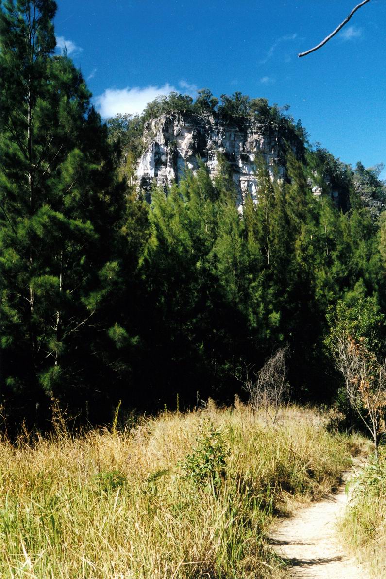 Resize of 04-30-2002 05 gorge pines.jpg