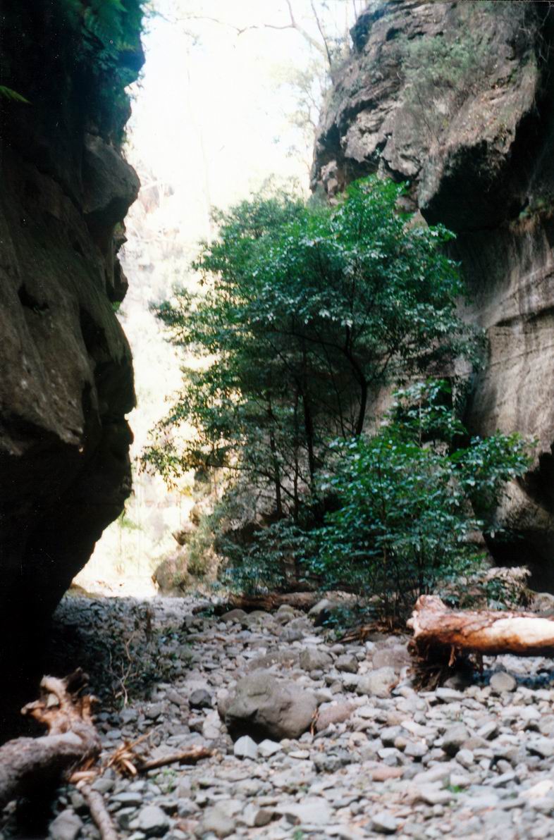 Resize of 04-30-2002 12 in Boowinda Ck Gorge.jpg