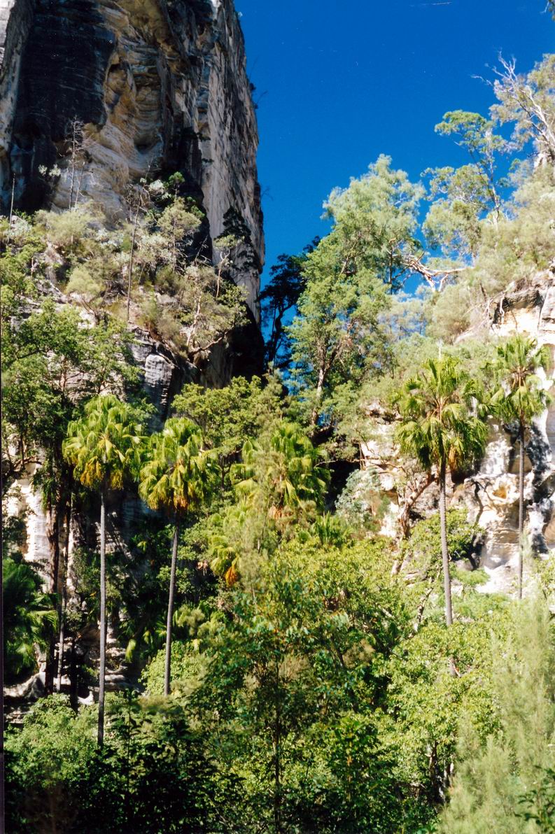 Resize of 04-30-2002 upstream from Art Cave