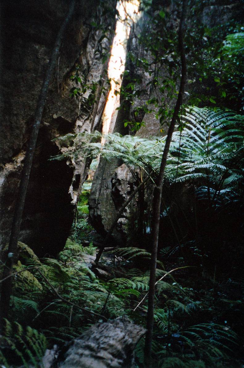 Resize of 05-02-2002 02 wards canyon