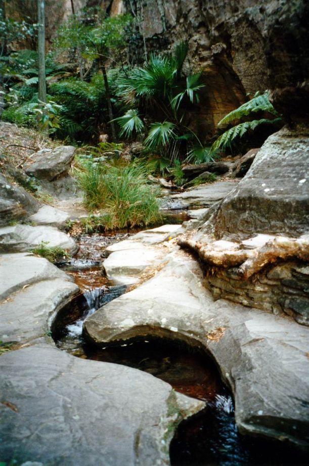 Resize of 05-02-2002 03 in wards canyon.jpg