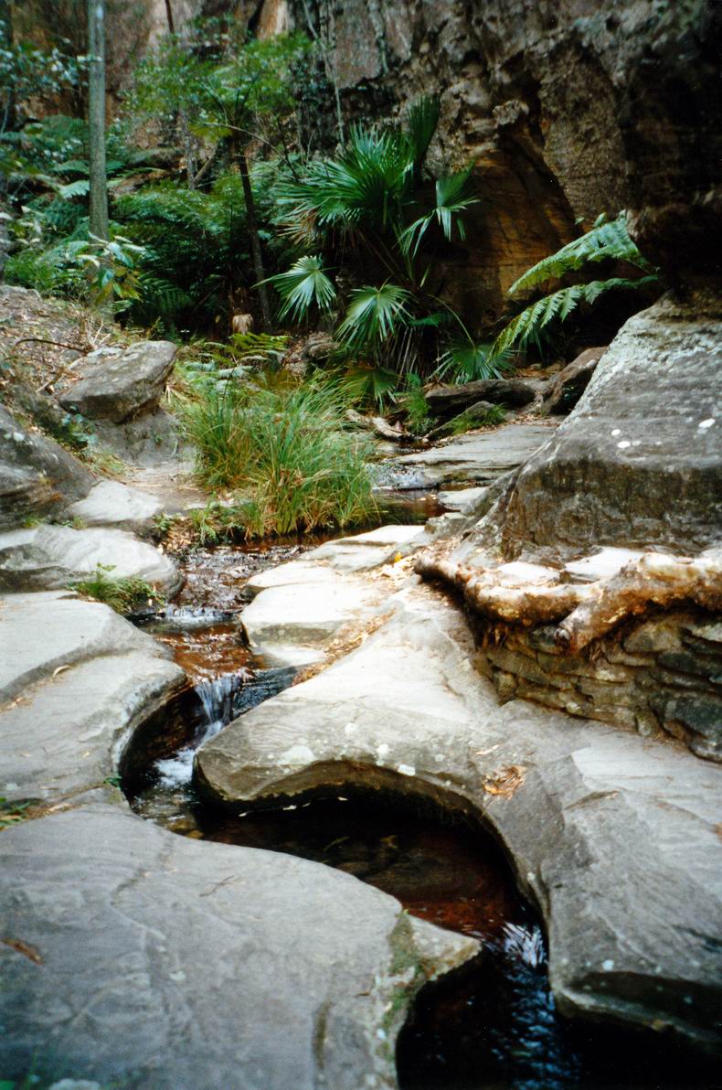 Resize of 05-02-2002 03 in wards canyon.jpg