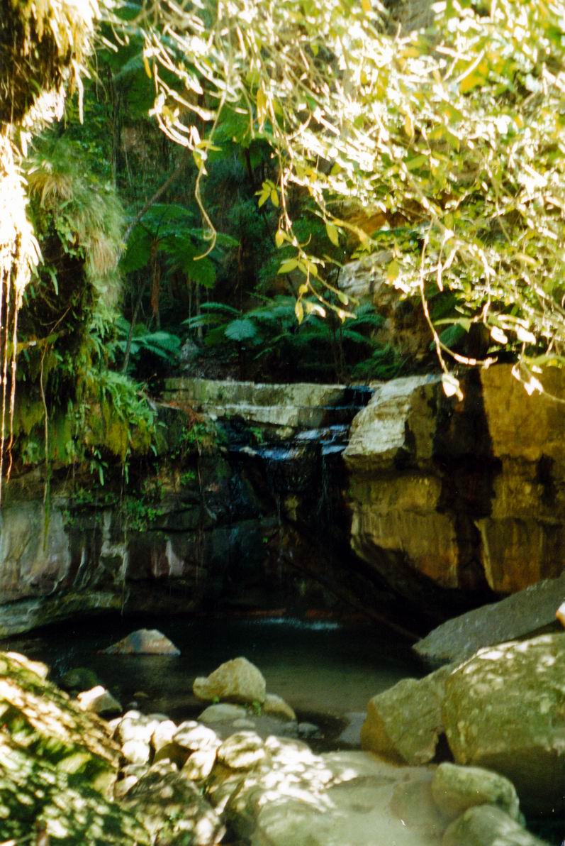 Resize of 05-02-2002 10 moss gardens