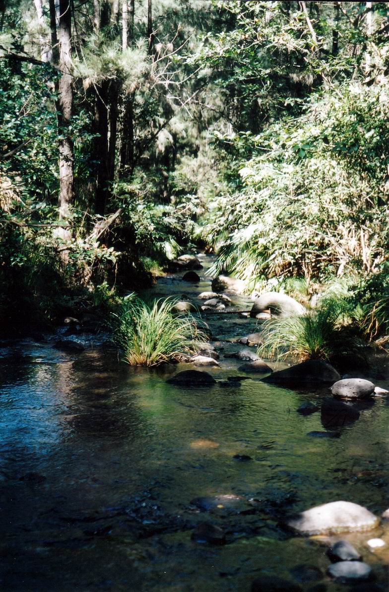 Resize of 05-02-2002 creek.jpg