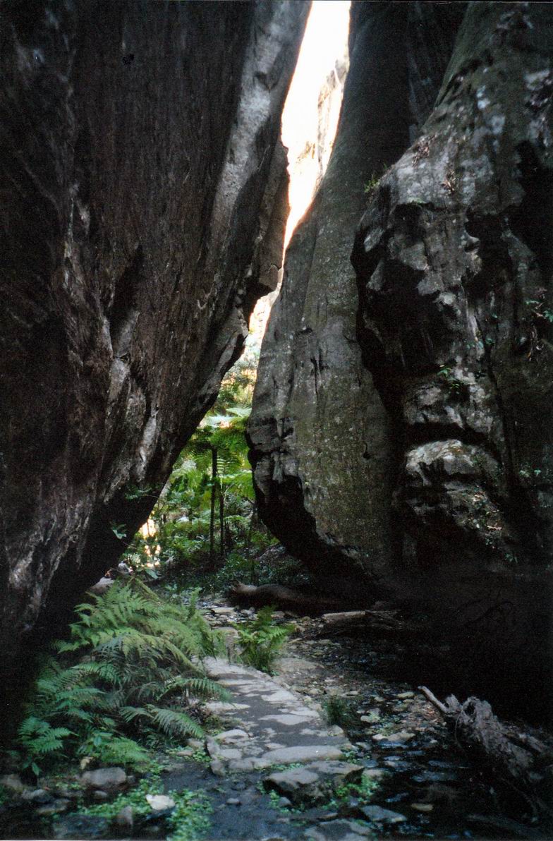 Resize of 05-02-2002 in wards canyon