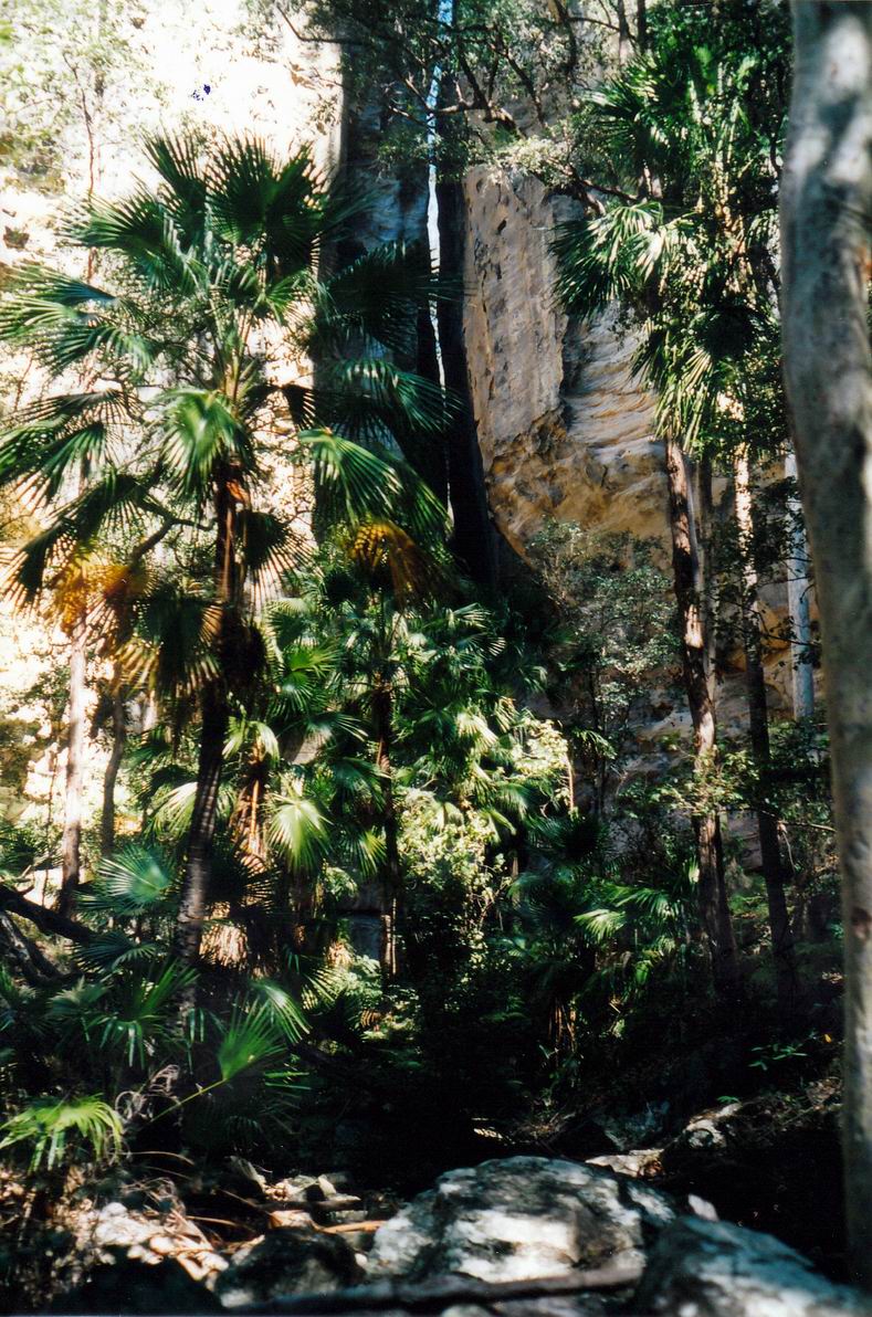 Resize of 05-02-2002 wards canyon.jpg