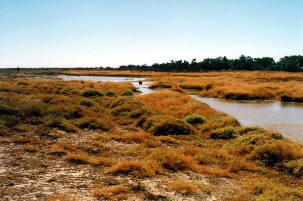 06-03-2002 03  Elizabeth Springs.jpg