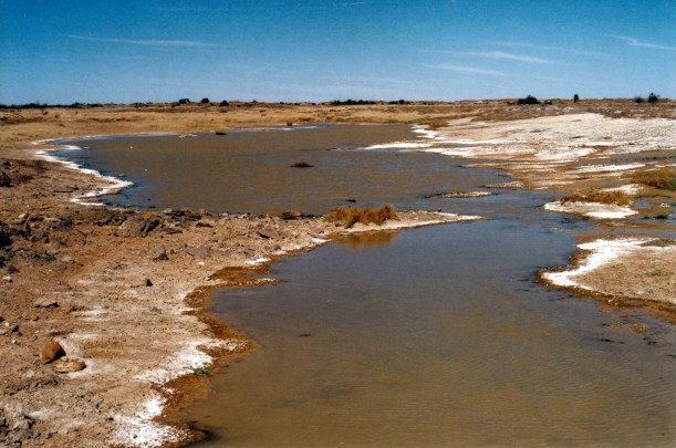 06-03-2002 04 Elizabeth Springs outflow