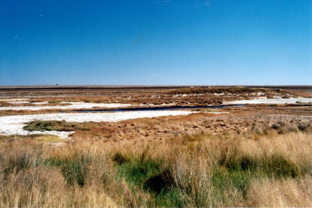 06-03-2002 06 Elizabeth Springs mound springs.jpg