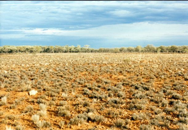 Resize of 05-18-2002 duck ck pic